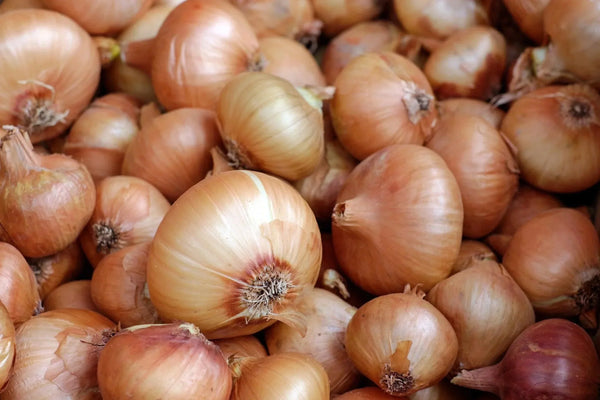 Picture of onion